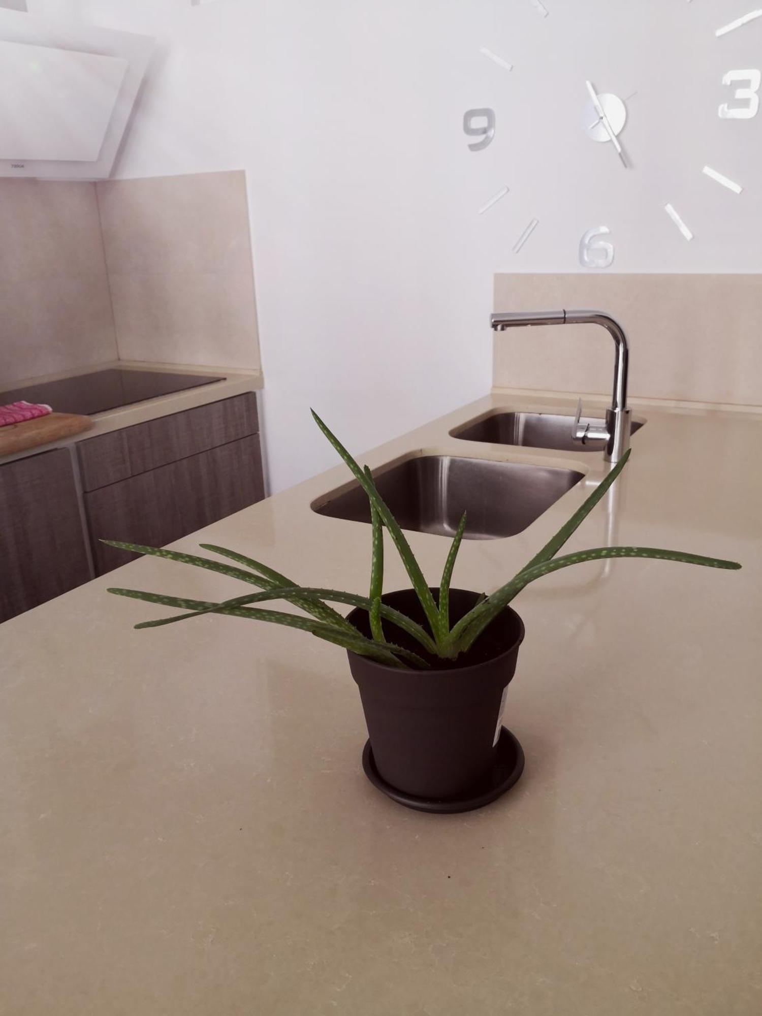 Appartement Vista Triangular à Las Palmas de Gran Canaria Extérieur photo